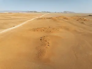 The C14 gravel road at the edge of the Namib Desert