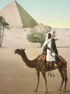 Cairo, Bedouin riding camel in front of pyramid