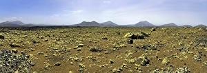 Category Mountain Landscapes Prints: Caldera Colorada, moss covered lava rock