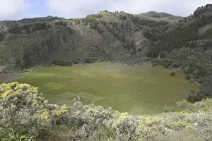 Caldera de los Marteles, Gran Canaria