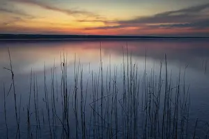 Calm evening mood at the lake with reeds in the foreground and colourful sunset