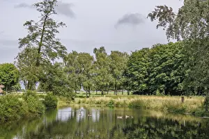 Calm lake with ducks, surrounded by green trees and meadows under a cloudy sky