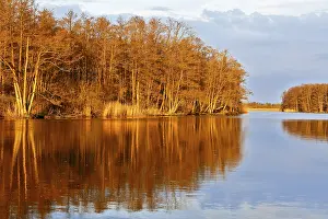 A calm lake reflects the evening autumn landscape of the forest