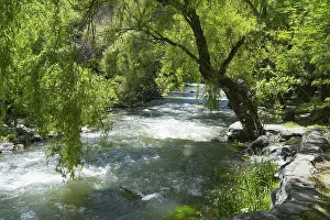 A calm river flows through a green landscape with lush trees and bright sunlight