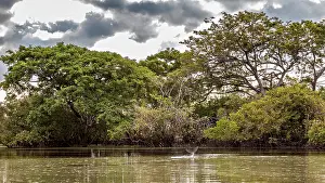 A calm river with overgrown banks and dramatic skies