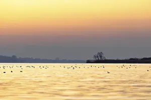 Calm water landscape at sunset