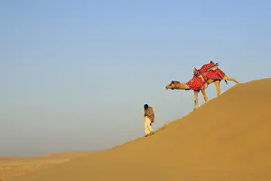 Category Historic EN Prints: Camel with owner walking down slope of soft sand dunes at Sam