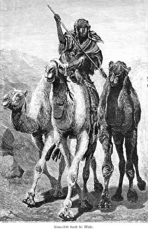 Camel ride through the desert, Egypt