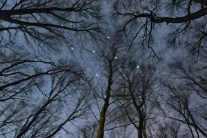 Camelopardalis star constellation