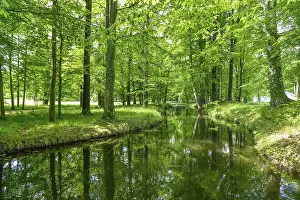 Canal, Fuerst-Pueckler-Park Branitz