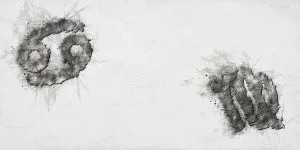 Cancer and Virgo Compatibility