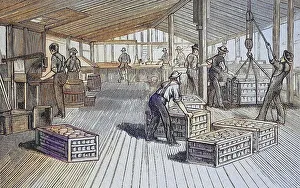 Canning factory of Thurber & Co in Moorestown