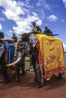 Caparisoned and Painted Elephant
