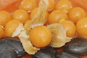 Cape gooseberry or Andean berry (Physalis peruviana)