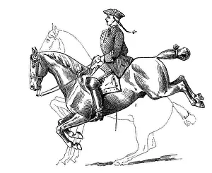 Capriole, the first position of the horse to jump and getting back on its feet