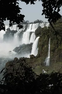 Captivating photo of Iguazu Falls framed by dark foliage