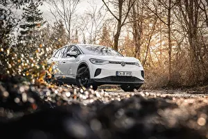 Car in an autumn forest landscape with bare trees
