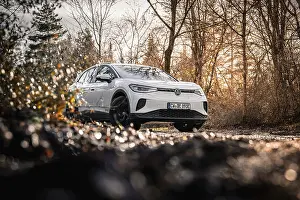 Car in an autumn forest landscape with bare trees
