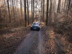 A car on an autumnal forest path