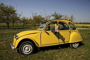 Car, classic car, Citroen 2CV in springtime