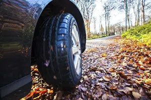 October 2021 Prints: Car driving on a street covered with leaves
