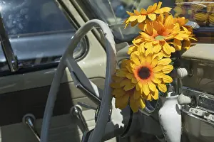 Car enthusiast has given himself flowers next to the steering wheel of a classic car