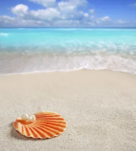 Caribbean pearl on shell over white sand beach of a tropical turquoise sea