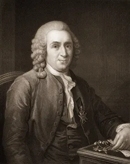 Carl Linnaeus, or Carl von Linne