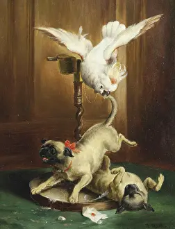 Carl Reichert, Karl Reichert, pseudonym J