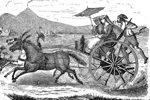 Carriage from Naples in 1860, Italy