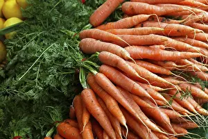 Carrot, carrots (daucus carota)