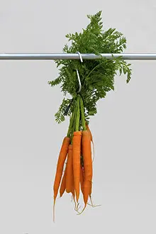 Carrots on a meat hook