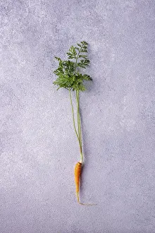 Carrots with tops and roots on gray plaster