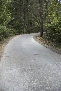 Carved road, sanjay gandhi national park