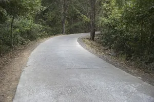 Carved road, sanjay gandhi national park