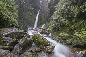 Cascadas Altas, Pumalin Park
