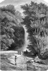 Cascade Botanical Garden of Saint-Pierre