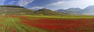 Castelluccio village in the Sibillini mountains at wild flower season