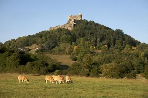 Castle of Murol, Auvergne, Puy-de-Dome