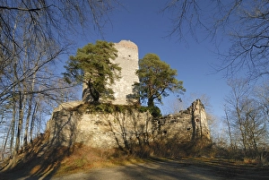 The castle ruins of Altbodman - Baden-Wuerttemberg