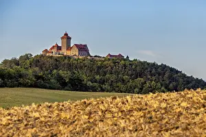 Castle on a wooded hill above a golden field under a clear sky