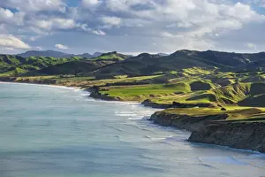 Category Mountain Landscapes Prints: Castlepoint coastline, mountain landscape with green hills and pasture land