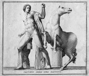 Castor, one of the sons of Zeus