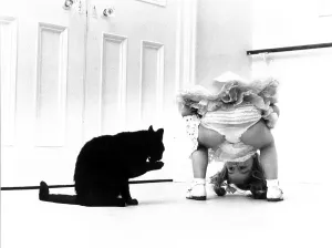 Cat and little girl, England, Great Britain