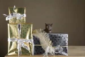 Cat playing with wrapped Christmas presents on an old wooden table