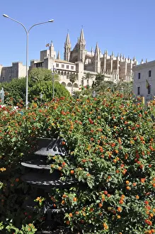 Cathedral, Palma, Majorca, Palma de Majorca