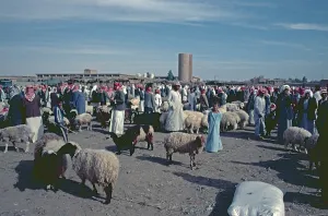 Cattle market, Achrat, Syria, May 1987, vintage, retro, old, historical, Asia