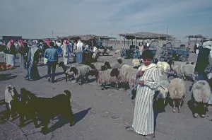 Cattle market, Achrat, Syria, May 1987, vintage, retro, old, historical, Asia