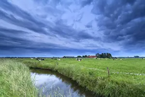 Cattle on pasture by river over clouded sky