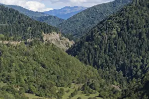 Caucasus Mountains near Lashtkhveri